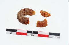 Foto von Bernsteinringperle (NHMW-PRAE-025922)